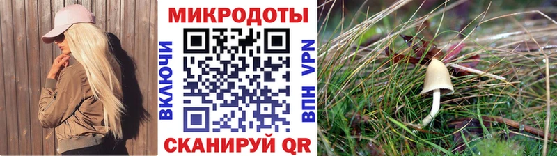 Галлюциногенные грибы Psilocybine cubensis  Купить  Мариинск 